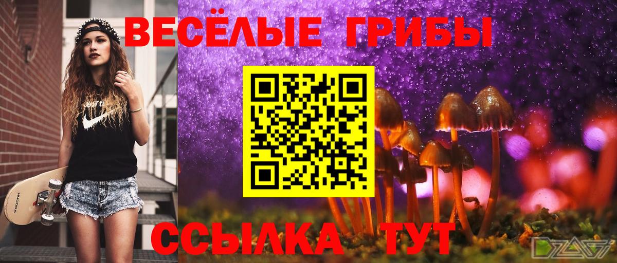 Псилоцибиновые грибы прущие грибы  Вход с VPN  Советск 